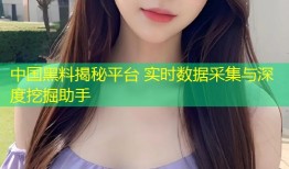 中国黑料揭秘平台 实时数据采集与深度挖掘助手