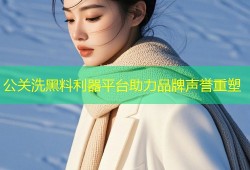 公关洗黑料利器平台助力品牌声誉重塑