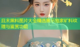 且末黑料图片大全精选展示独家矿料纹理与鉴赏功能