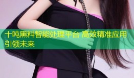 十吨黑料智能处理平台 高效精准应用引领未来