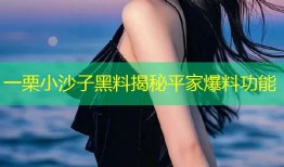 一栗小沙子黑料揭秘平家爆料功能