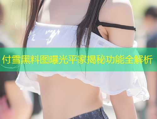 付雪黑料图曝光平家揭秘功能全解析