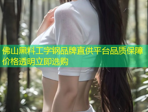 佛山黑料工字钢品牌直供平台品质保障价格透明立即选购