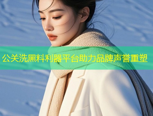 公关洗黑料利器平台助力品牌声誉重塑