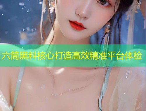 六筒黑料核心打造高效精准平台体验