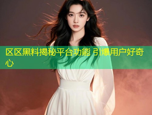 区区黑料揭秘平台功能 引爆用户好奇心