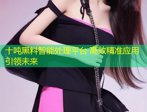 十吨黑料智能处理平台 高效精准应用引领未来