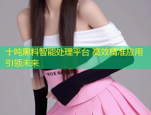 十吨黑料智能处理平台 高效精准应用引领未来
